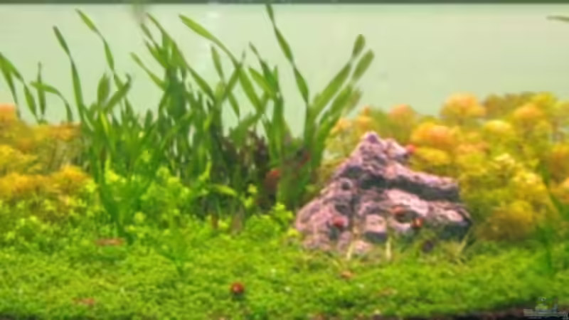 Ansicht- August 2009 von Mel&Marc (20)