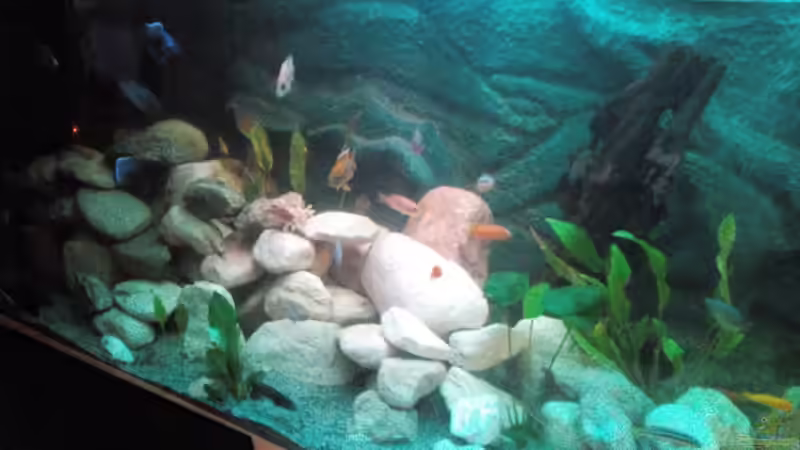 Ansicht  von Marcel Wagner (12)