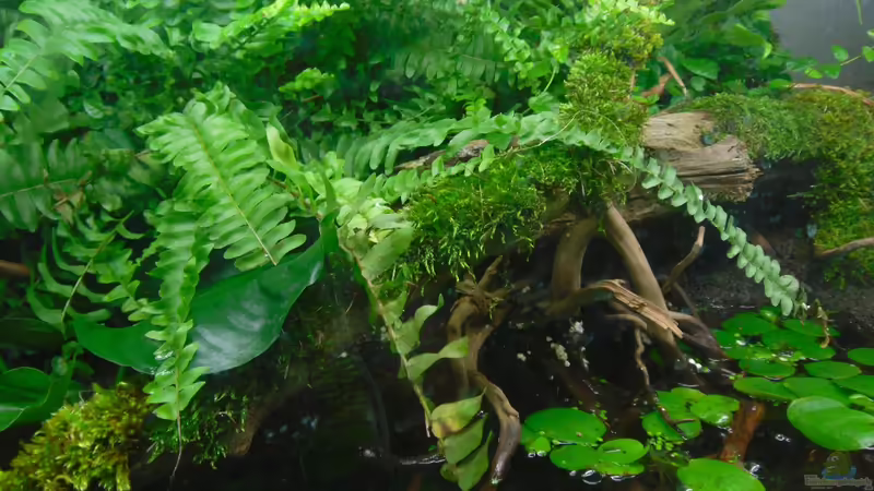 Ansicht 01 von gkr123 (6)