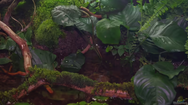 Ansicht 02 von gkr123 (7)