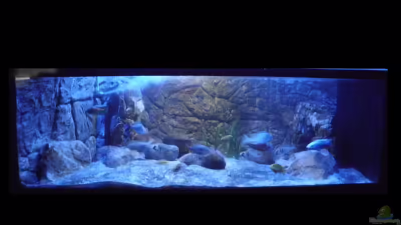 Ansicht 03.11.2013 von Noah (8)