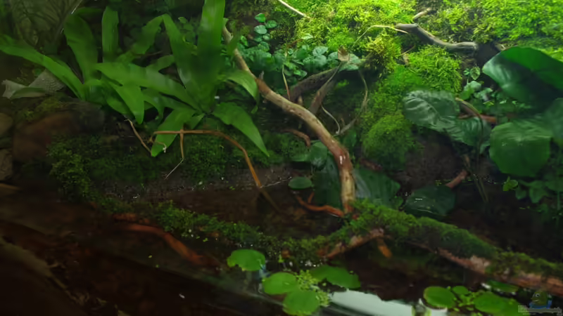 Ansicht 03 von gkr123 (8)