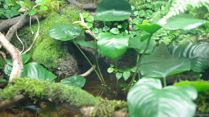 Ansicht 04 von gkr123 (9)