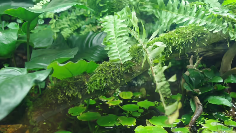 Ansicht 05 von gkr123 (10)