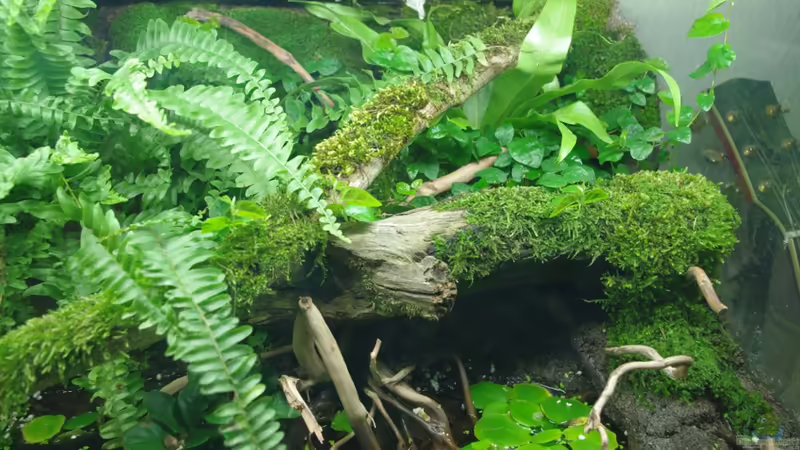 Ansicht 06 von gkr123 (11)