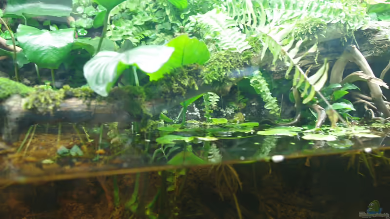 Ansicht 07 von gkr123 (12)