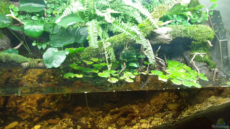 Ansicht 09 von gkr123 (14)