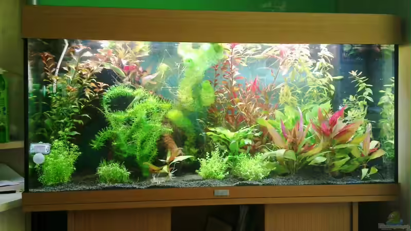 Ansicht 1 von Johannes Klopf (3)