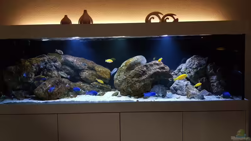 Ansicht 11/19 von Marita K. (17)