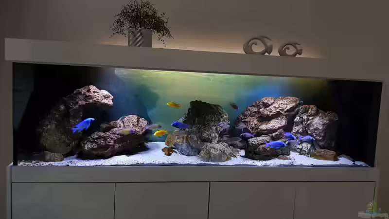 Ansicht 12/22 von Marita K. (3)