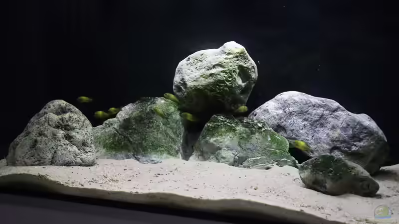 Ansicht 18.08.2021 von Tom (2)