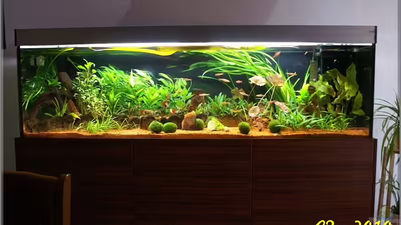 Ansicht 19.10.2010 von Christian Zwick (7)