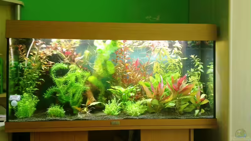 Ansicht 2 von Johannes Klopf (4)