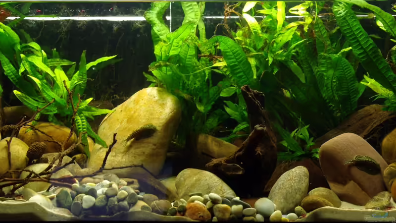 Ansicht 23.07. von Nico NK (8)