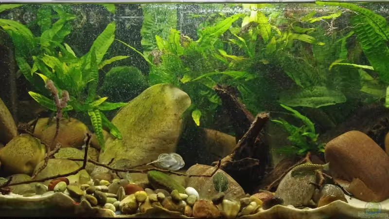 Ansicht 24.09. von Nico NK (10)