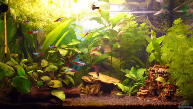 Ansicht 25.09.2010 von Noreia (10)