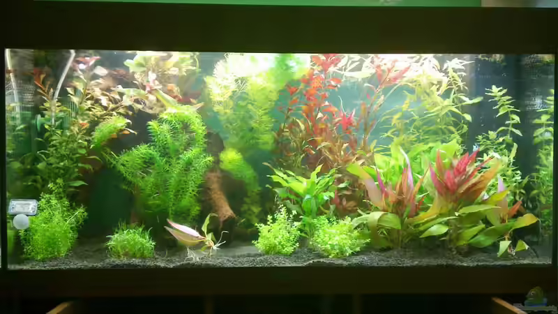 Ansicht 3 von Johannes Klopf (5)