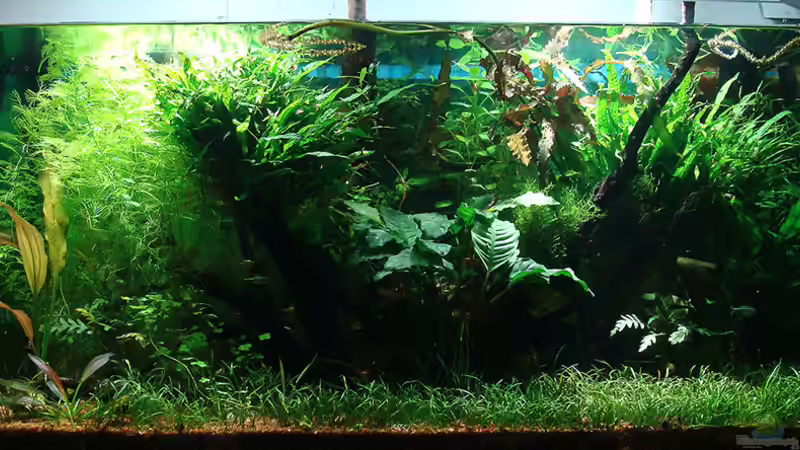 Ansicht 30.12.2013 Home of the Abandoned von Lukas &gt;&lt;°&gt; (1)