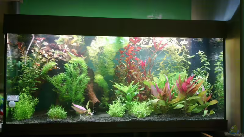 Ansicht 4 von Johannes Klopf (6)