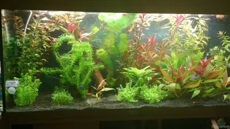 Ansicht 5 von Johannes Klopf (7)