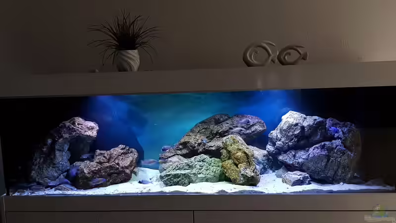 Ansicht 6/22 von Marita K. (15)