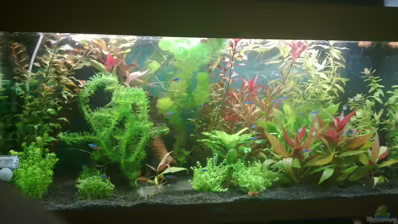 Ansicht 6 von Johannes Klopf (8)