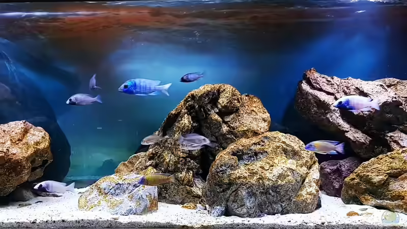 Ansicht 9/22 von Marita K. (9)