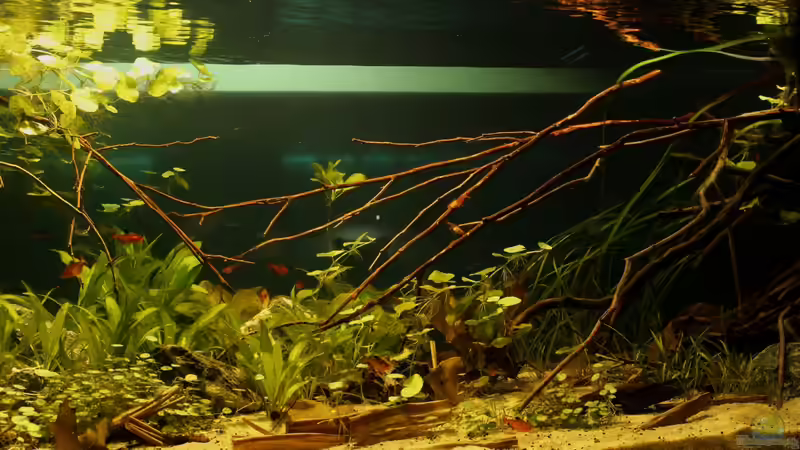 Ansicht am 17.07.2012 von die Perle... (4)