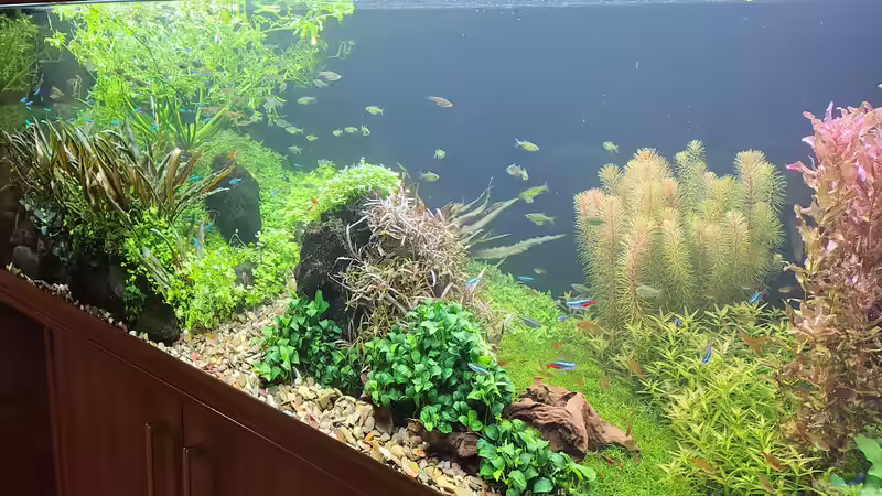 Ansicht am 21.12.2025 von C-NA (19)