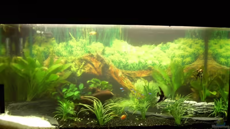 Ansicht am 23.03.2008 von bjoern21x (3)