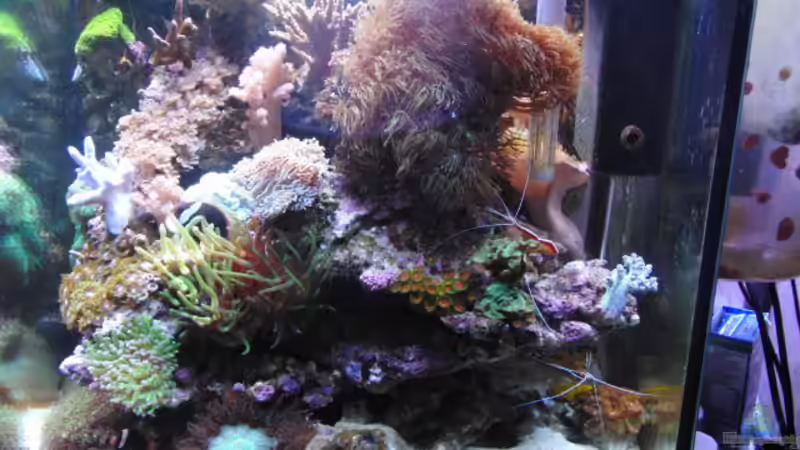 Ansicht am 23.09.2011 von Steffen Ruck (1)