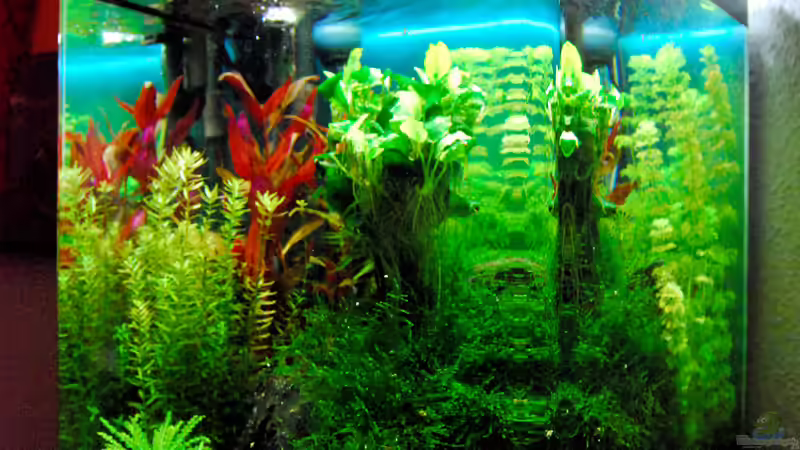 Ansicht anderes Eck von HorstJansen (3)