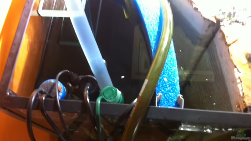 Ansicht auf den HMF von maxarl (25)