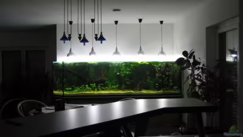 Ansicht aus der Küche von Gerrit Buck (6)