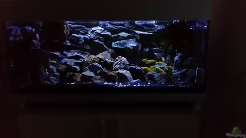 Ansicht bei Nacht von Daniel H. (25)