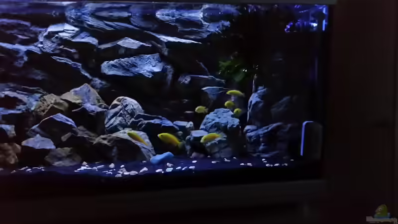 Ansicht bei Nacht von Daniel H. (26)