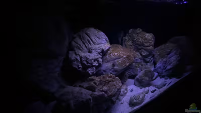 Ansicht bei normaler Beleuchtung von Jean-Paul Ambord (10)