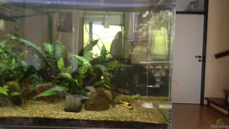 Ansicht Couch Bereich 2 - 2014 von schmitzkatze (5)