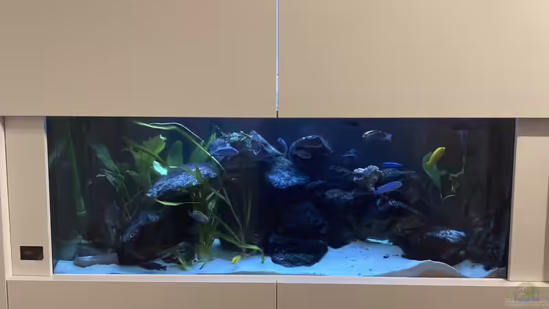 Ansicht der Flur-Seite von Alex 75 (2)