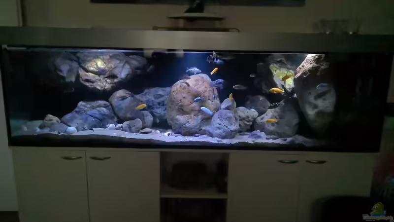 Ansicht des Beckens von Florian Bandhauer (2)