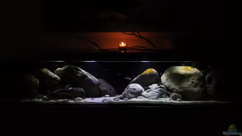 Ansicht des Beckens von Florian Bandhauer (4)