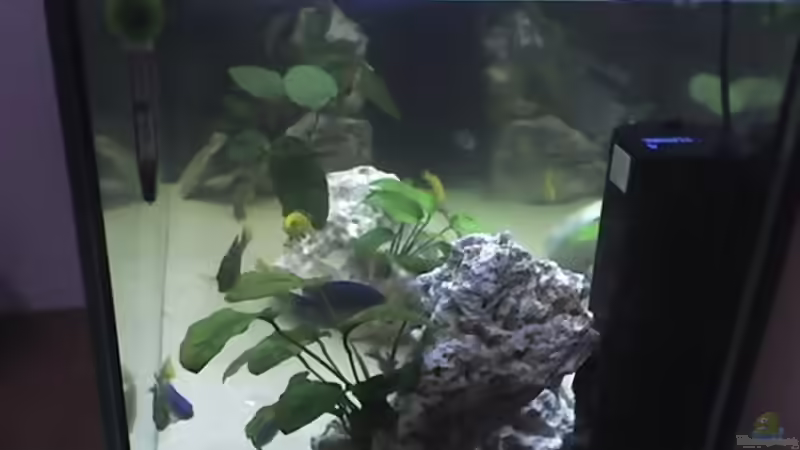 Ansicht durch dir rechte Seitenscheibe von Heiko Rodegast (2)