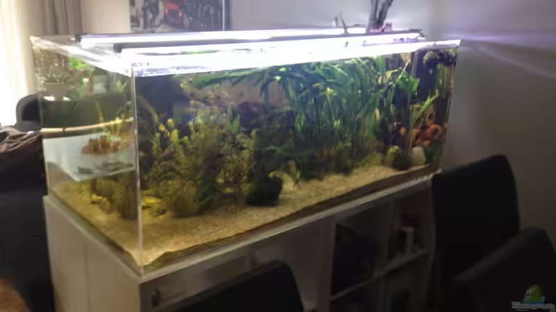 Ansicht Essbereich 1 - 2014 von schmitzkatze (12)