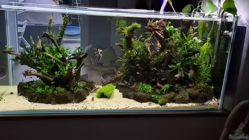 Ansicht Esszimmer 27.05.21 von hange (6)