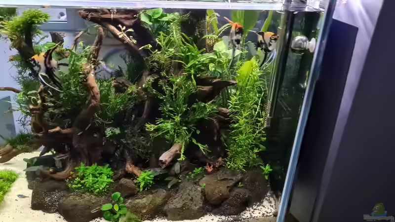 Ansicht Esszimmer 27.05.21 von hange (7)