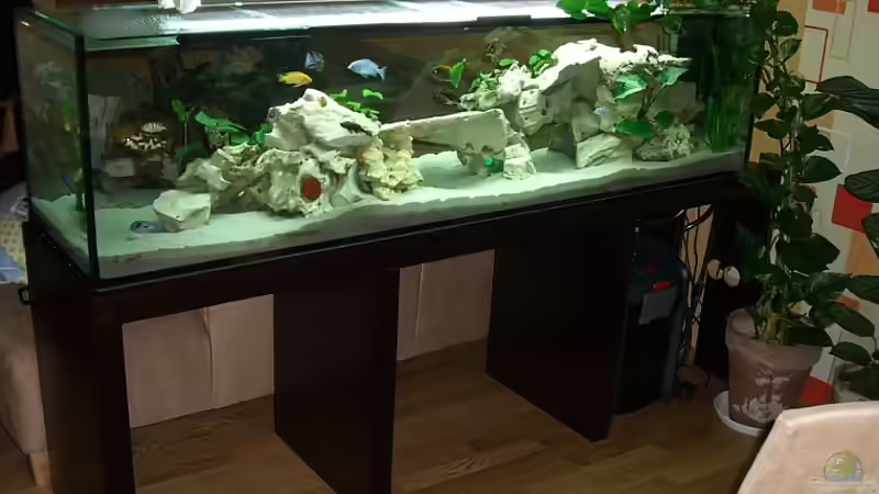 Ansicht Esszimmer alt von Dominik Steigewald (3)