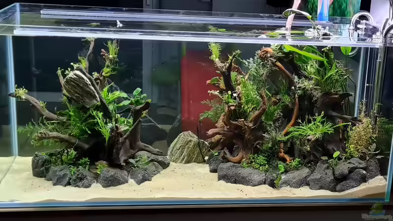 Ansicht Esszimmer von hange (10)