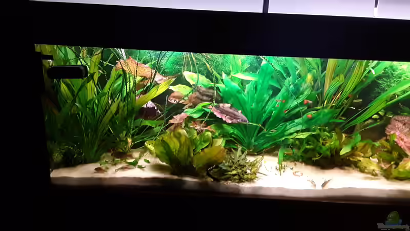 Ansicht Februar 2020 von Frank Krüger (3)