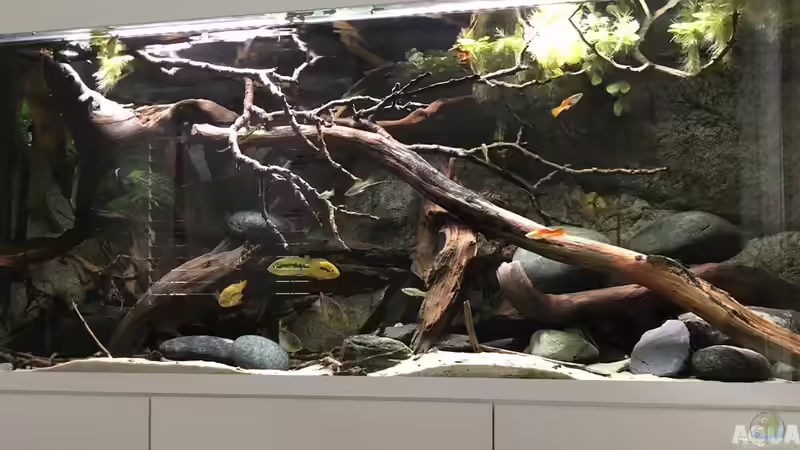 Ansicht Februar 2020 von Rubens (2)