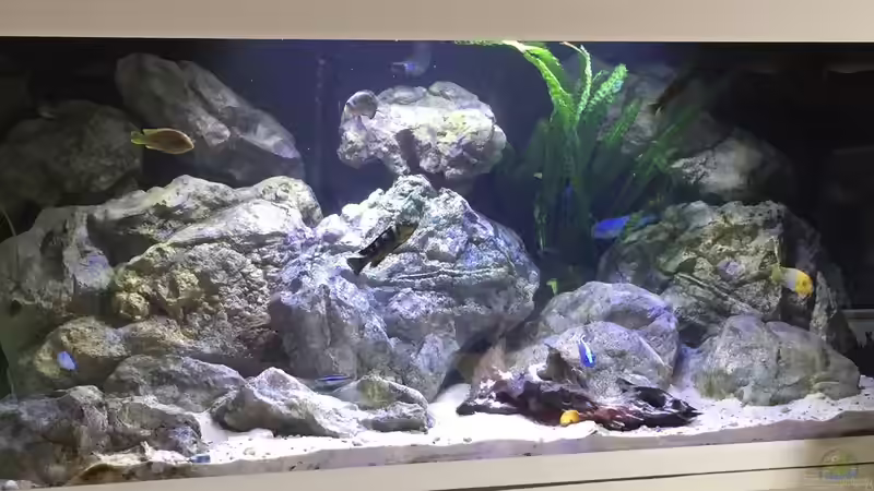 Ansicht fertig ... erst mal ´fertig´ I von MGR (5)